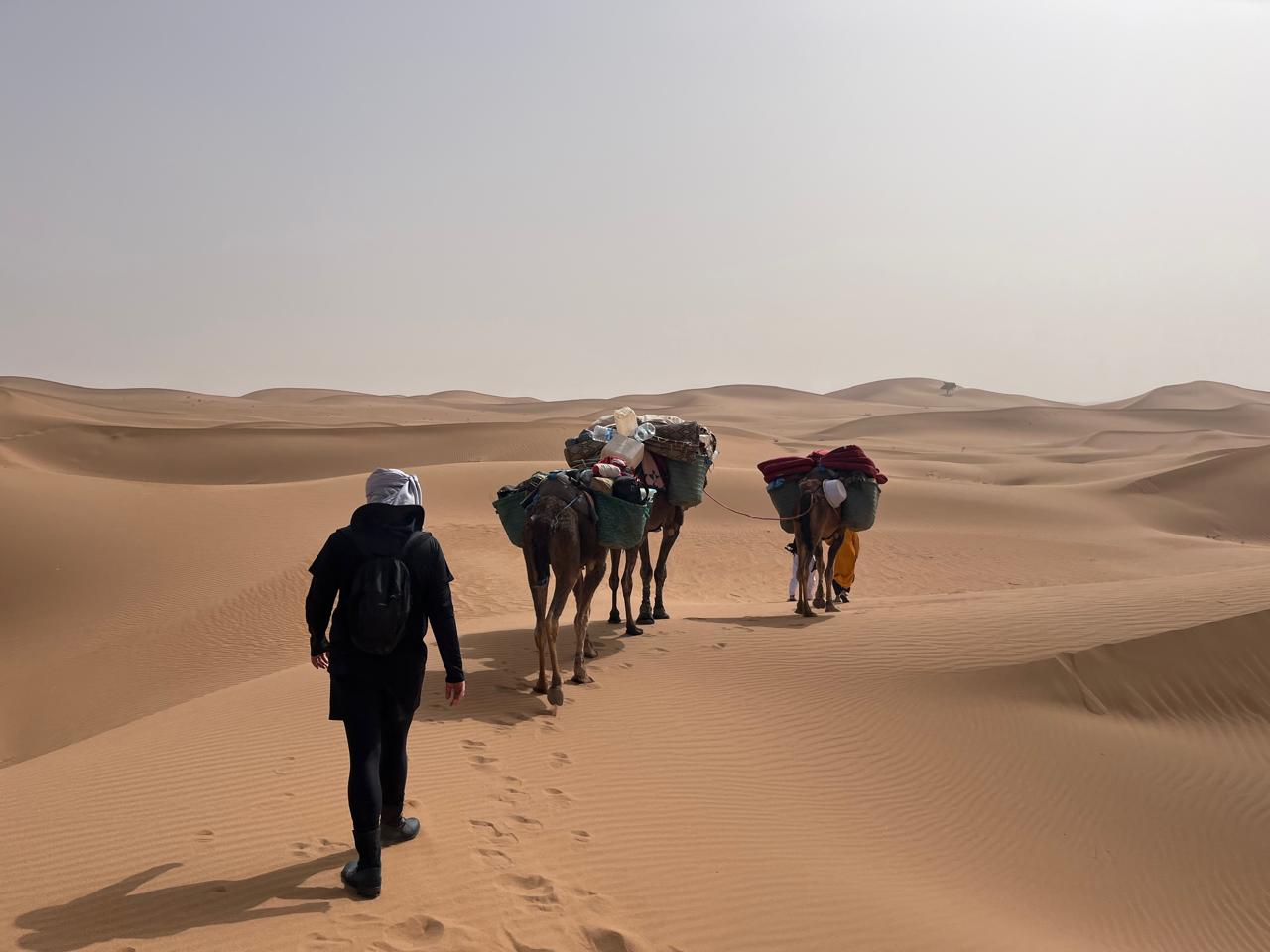 4cb57d42 85dc 492c a17e dec0af514741