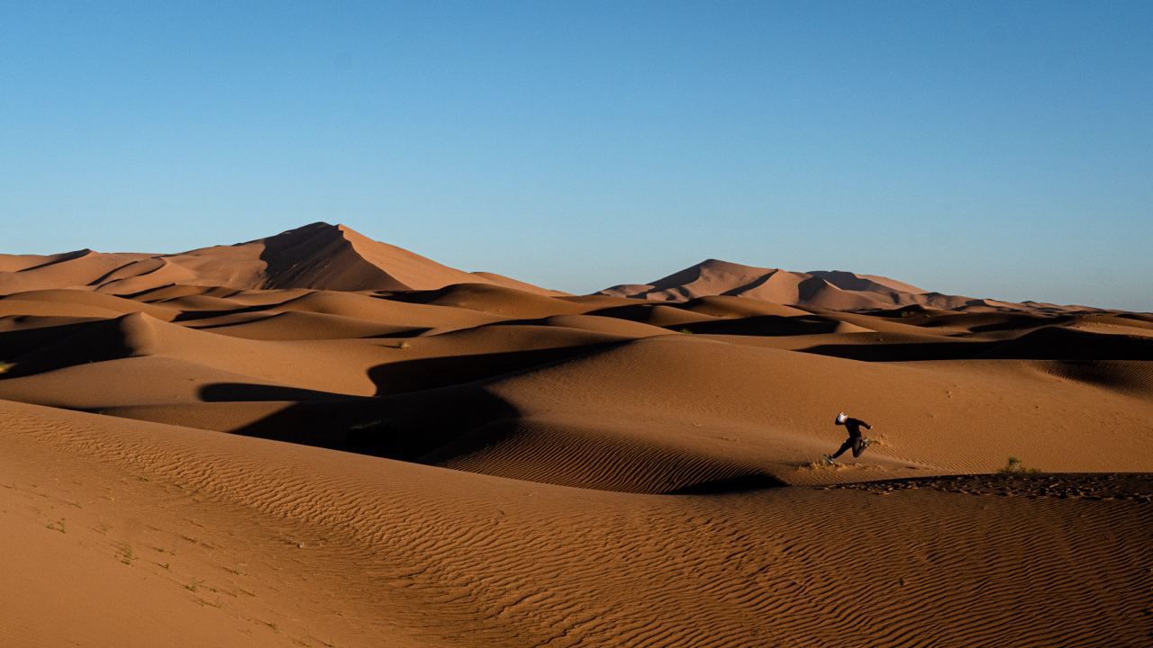 980cd21c 6387 40d3 ae8c 1c13cb4a846b