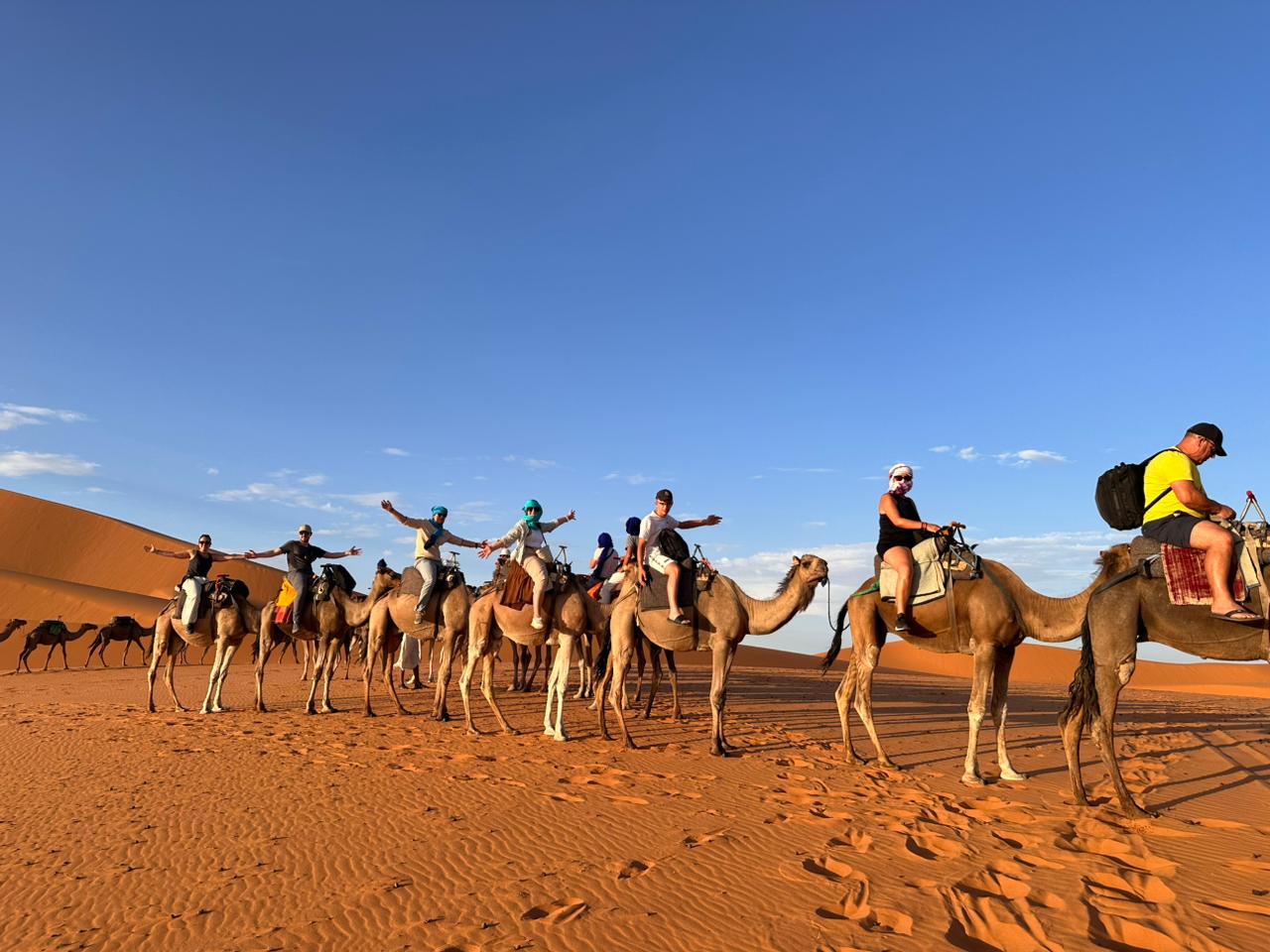 c02da49e 62da 4d3e 8423 d49239c47048