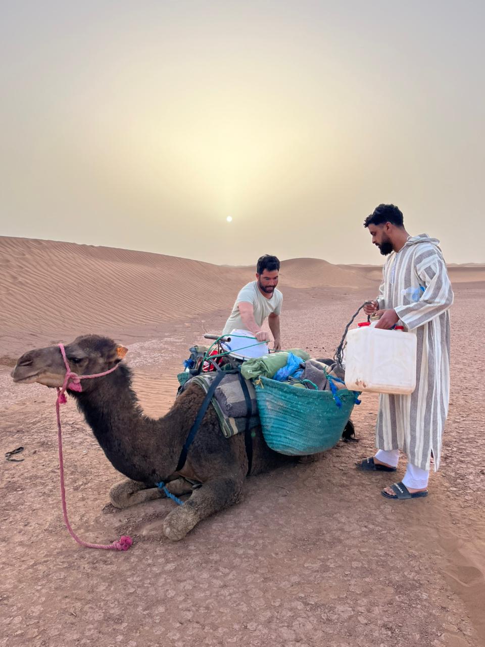 ed39a158 aa64 46d3 b013 78f39bf25973