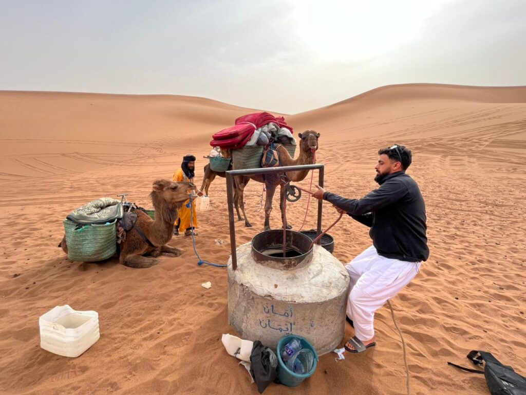 9b7d1250 cde1 472f a026 45718eb554ce