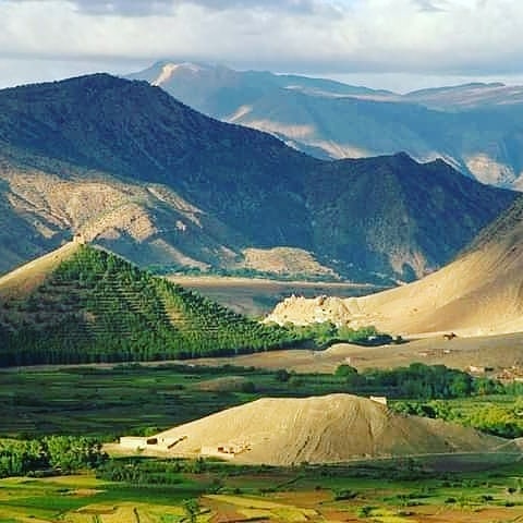 whatsapp image 2568 04 19 at 23.06.04 (3)